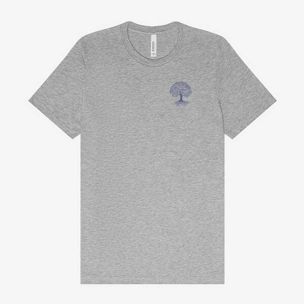 Bella + Canvas CVC Jersey Tee