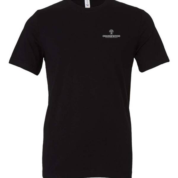 Bella + Canvas Jersey Tee